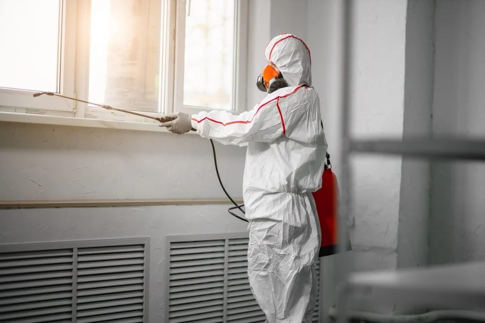 Professional mold remediation services in Joshua, TX